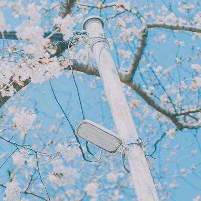 刀剑神域虚空幻界手游官方
